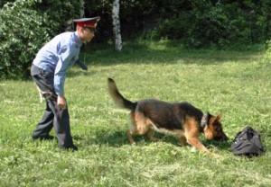 Кинолог с питомцем