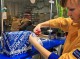 Отправление посылки