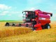 Хлеборобы региона намолотили