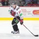 avangard