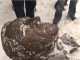 михаил ульянов