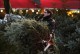 1293718398_christmas_tree_19[1]