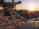 winter_320[1]