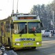 Городской транспорт начал работать в обычном режиме