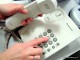 Как приватизировать квартиру, омичам расскажут специалисты
