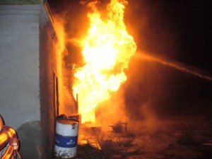 В Омской области сгорели 50 коров