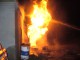 В Омской области сгорели 50 коров