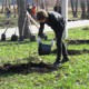 В Омске готовятся к весенним субботникам