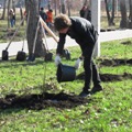 В Омске готовятся к весенним субботникам