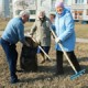 Завтра в Омске пройдет первый городской субботник
