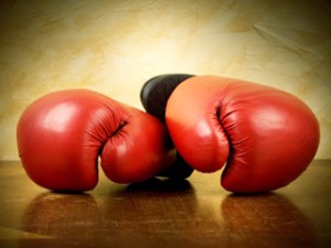 Чемпионат по боксу определил сильнейших спортсменов региона