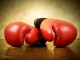 Чемпионат по боксу определил сильнейших спортсменов региона
