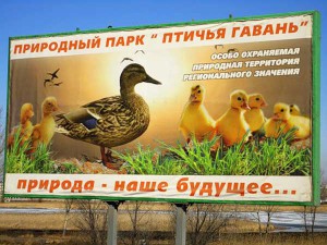 В «Птичьей гавани» егеря подготовили гнезда для прилетающих птиц