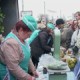 На губернских ярмарках появятся новые агропроизводители