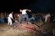 Фестиваль «Солнцестояние» в Окунево будет платным