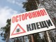 Омские клещи "озверели"