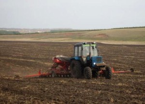 В Омской области завершается сев яровой пшеницы