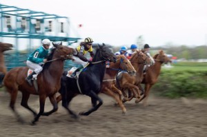 Омский ипподром готов к проведению конно-спортивных соревнований
