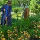 Более 2000 подростков успешно поработали в июне на благоустройстве Омска