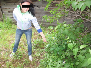 В Омске задержана жительница Барнаула, распространявшая через закладки синтетические наркотики