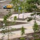 Накануне Дня города в Центральном округе состоится торжественное открытие сада «Сибирь»