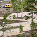 Накануне Дня города в Центральном округе состоится торжественное открытие сада «Сибирь»