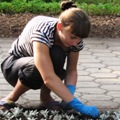 В администрации Омска подвели летние итоги временного трудоустройства несовершеннолетних