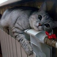 Готовность жилищно-коммунального комплекса Омской области к отопительному сезону составляет 90%