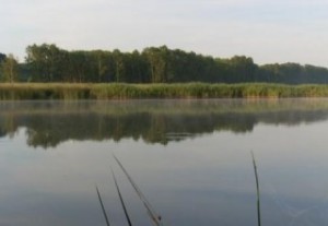 Озеро Линево в Муромцевском районе