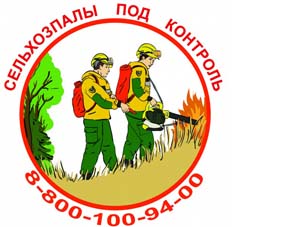 В Омской области проводятся мероприятия по защите лесов от пожаров