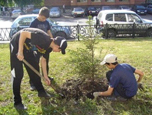 Минприроды приглашает омичей за саженцами для озеленения родного города