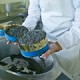 В Омске открылся завод по выращиванию рыб ценных пород