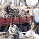 В Омске готовятся к общегородскому субботнику