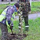 В Омске стартовал традиционный месячник по благоустройству территории города
