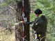 Омская область получит из федерального бюджета 15 млн рублей на лесоустроительные работы