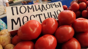 В Омской области планируют выращивать собственные томаты и перец