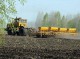 В Омской области завершен сев пшеницы, картофеля и овощей