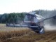 Омские аграрии переходят на круглосуточный режим уборочных работ