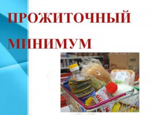 В Омской области установлена новая величина прожиточного минимума