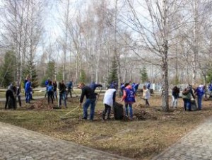 Месячник по благоустройству и озеленению территорий населенных пунктов Омской области стартует в апреле