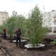 На Левобережье появится новая зеленая зона