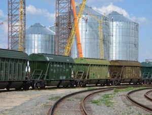 Хозяйства Омской области готовят зерно нового урожая к отправке в Китай