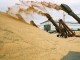Аграрии Омской области намолотили около 3,3 млн тонн зерна