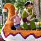 Сегодня открывается городская выставка «Флора»