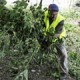 В Омске стартует акция «Чистый лес — территория без огня»