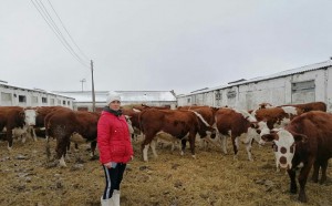 На развитие фермерства и сельской кооперации в Омской области в 2021 году направят более 64 млн рублей