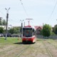 На трамвайных путях ведется покос травы