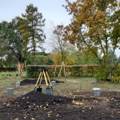 Во время субботника в Омске высадили 870 деревьев и 350 кустарников